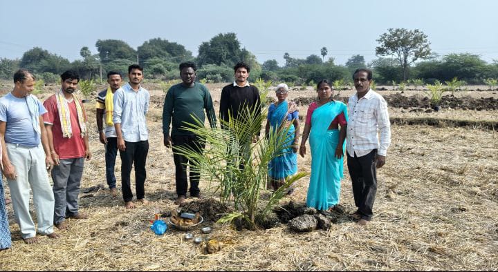 ఆయిల్ పామ్ తోట మొక్కలను నాటిన వ్యవసాయ అధికారులు