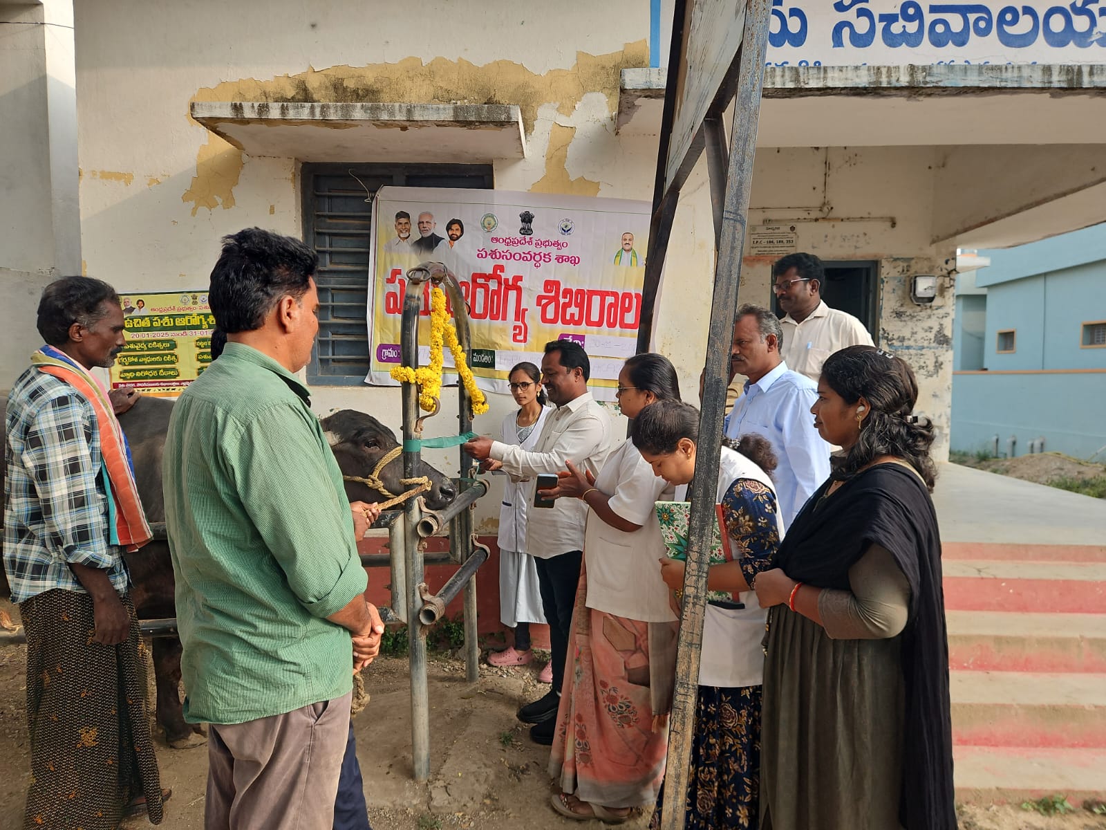 కేతగుడిపిలో పశువైద్య శిబిరం ఏర్పాటు.