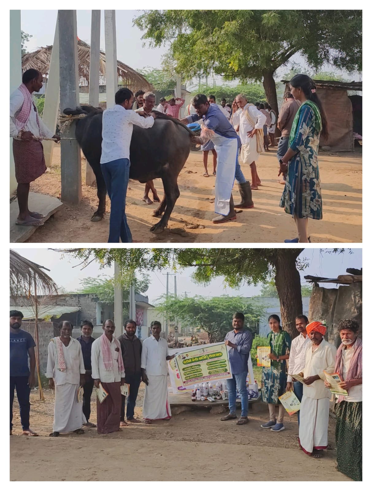 పశువైద్య శిభిరాన్ని సద్వినియోగం చేసుకోండి డాక్టర్ విష్ణు వర్ధన్ రెడ్డి