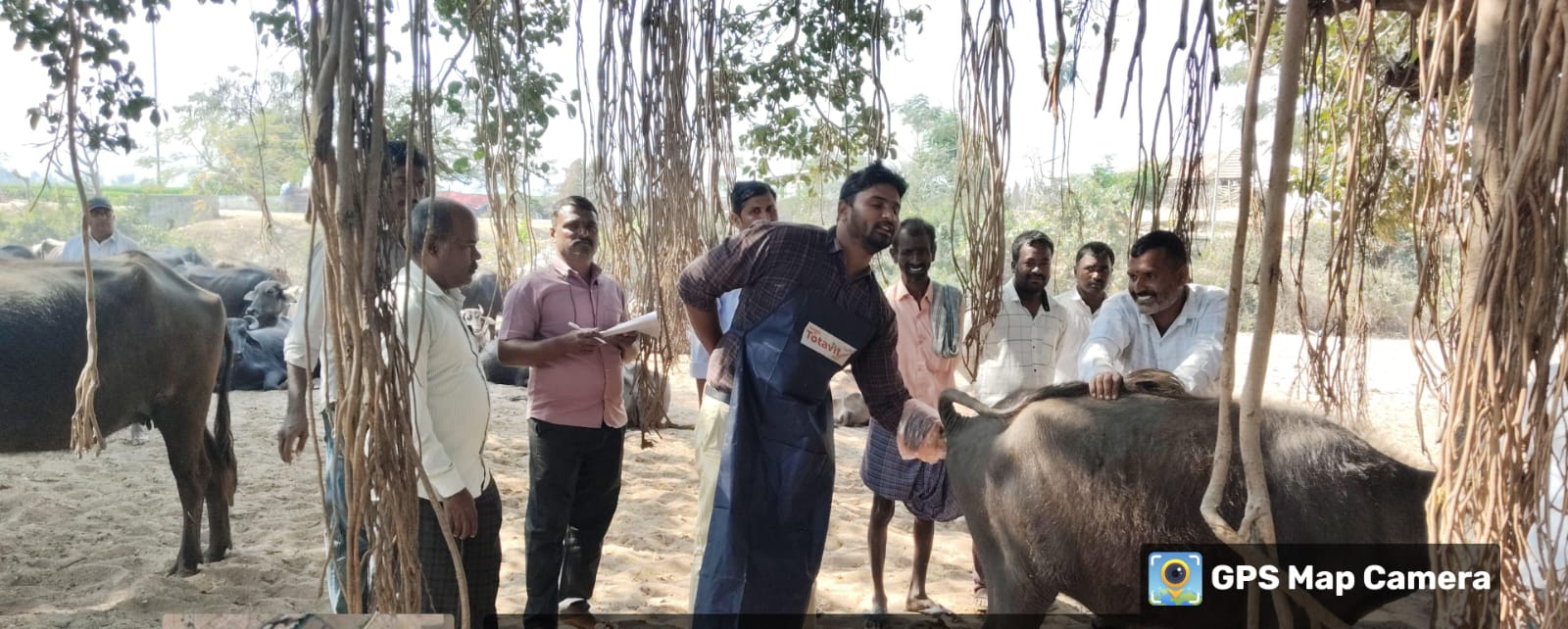 ఉచిత పశు వైద్య శిబిరం..!