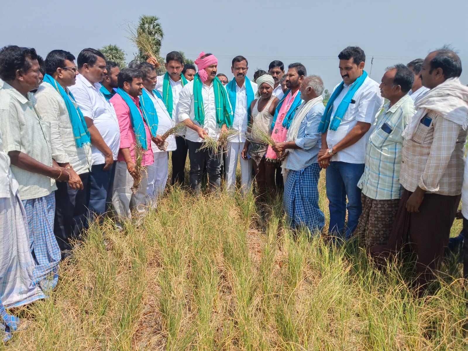 నేలమర్రి గ్రామంలో ఎండిపోతున్న పంట పొలాలను పరిశీలించిన మాజీ ఎమ్మెల్యే