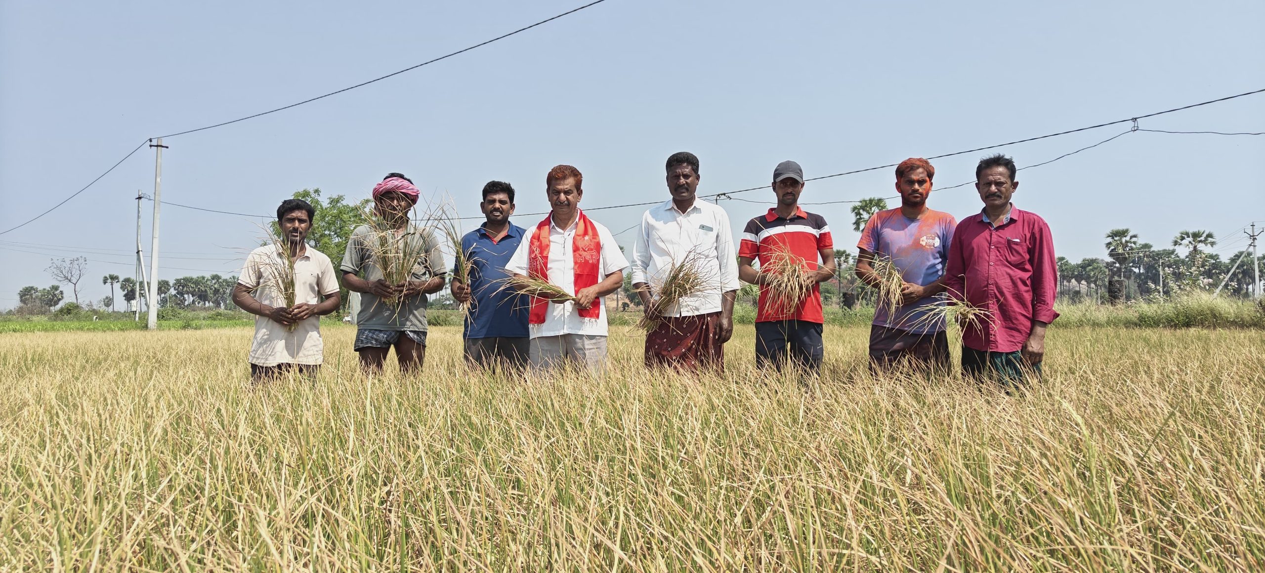 మునగాల మండలాన్ని కరువు మండలంగా ప్రకటించాలి