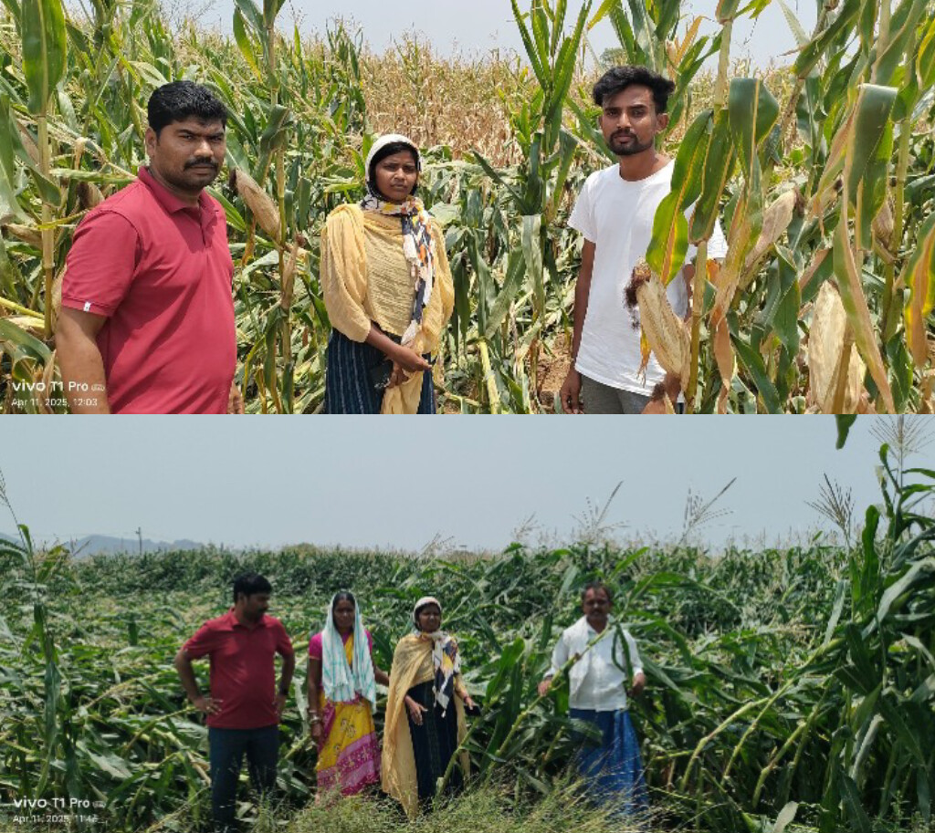ఈదురు గాలుల బీభత్సం నష్టం పోయినా రైతులకు నష్టపరిహారం అందాలి తీన్మార్ జయ్