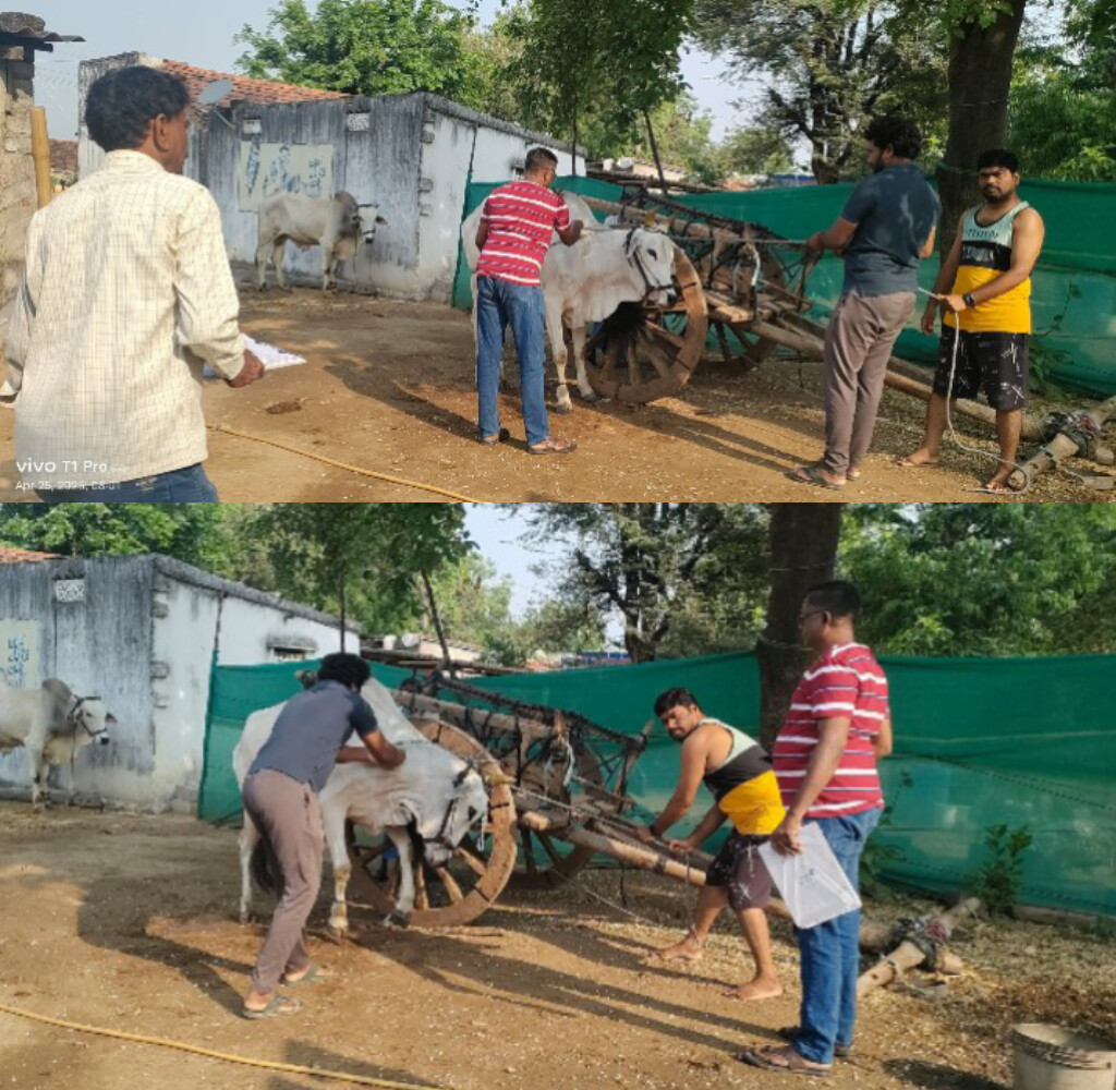 వెటర్నరీ క్యాంపు ఏర్పాటుచేసిన తీన్మార్ జయ్