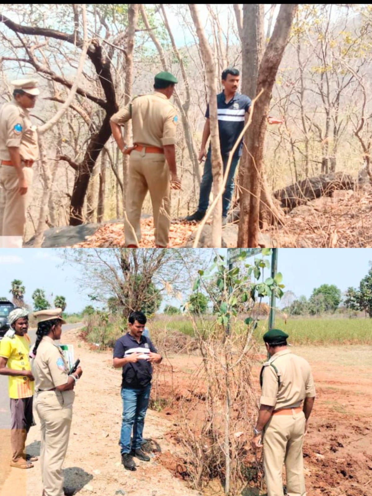 కనకగిరి రిజర్వ్ ఫారెస్ట్ ను పరిశీలించిన డివిజనల్ అధికారి కోటేశ్వరరావు