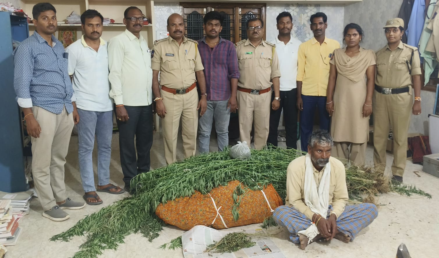 గంజాయి సాగు చేస్తున్న వ్యక్తులు అరెస్ట్ చేసిన సీఐ సత్యనారాయణ…..