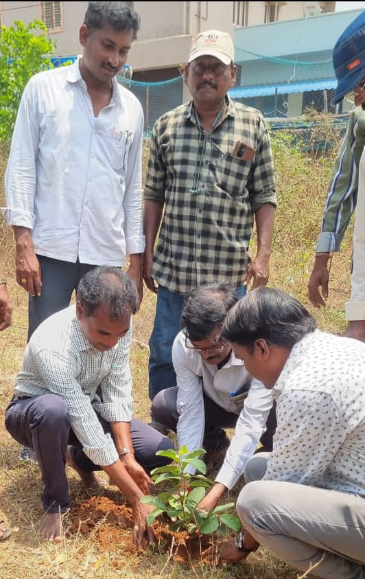 మొక్కలు నాటిన విద్యుత్ శాఖ ఏఈలు