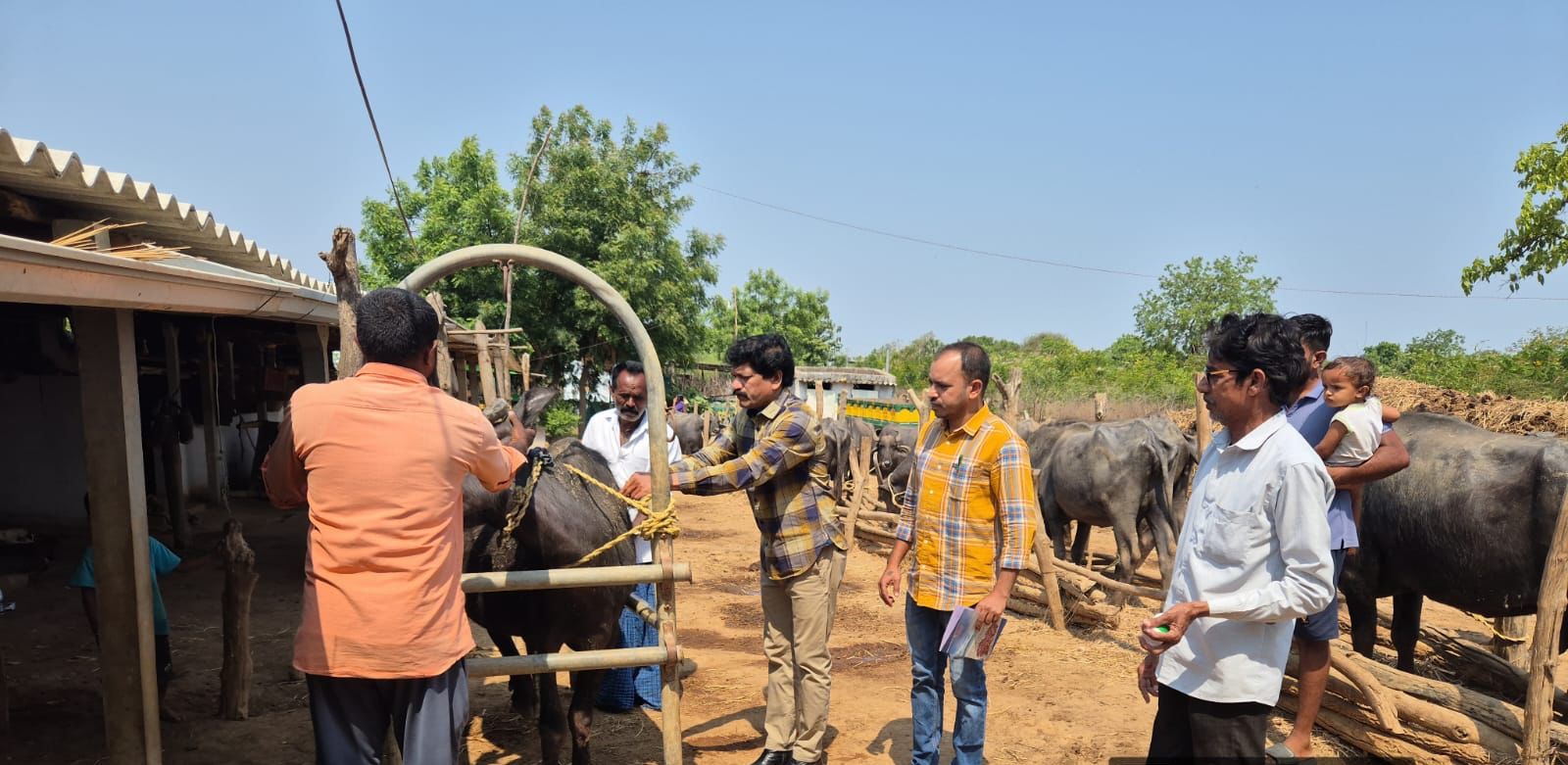 గాలికుంటు టీకాల సద్వినియోగం