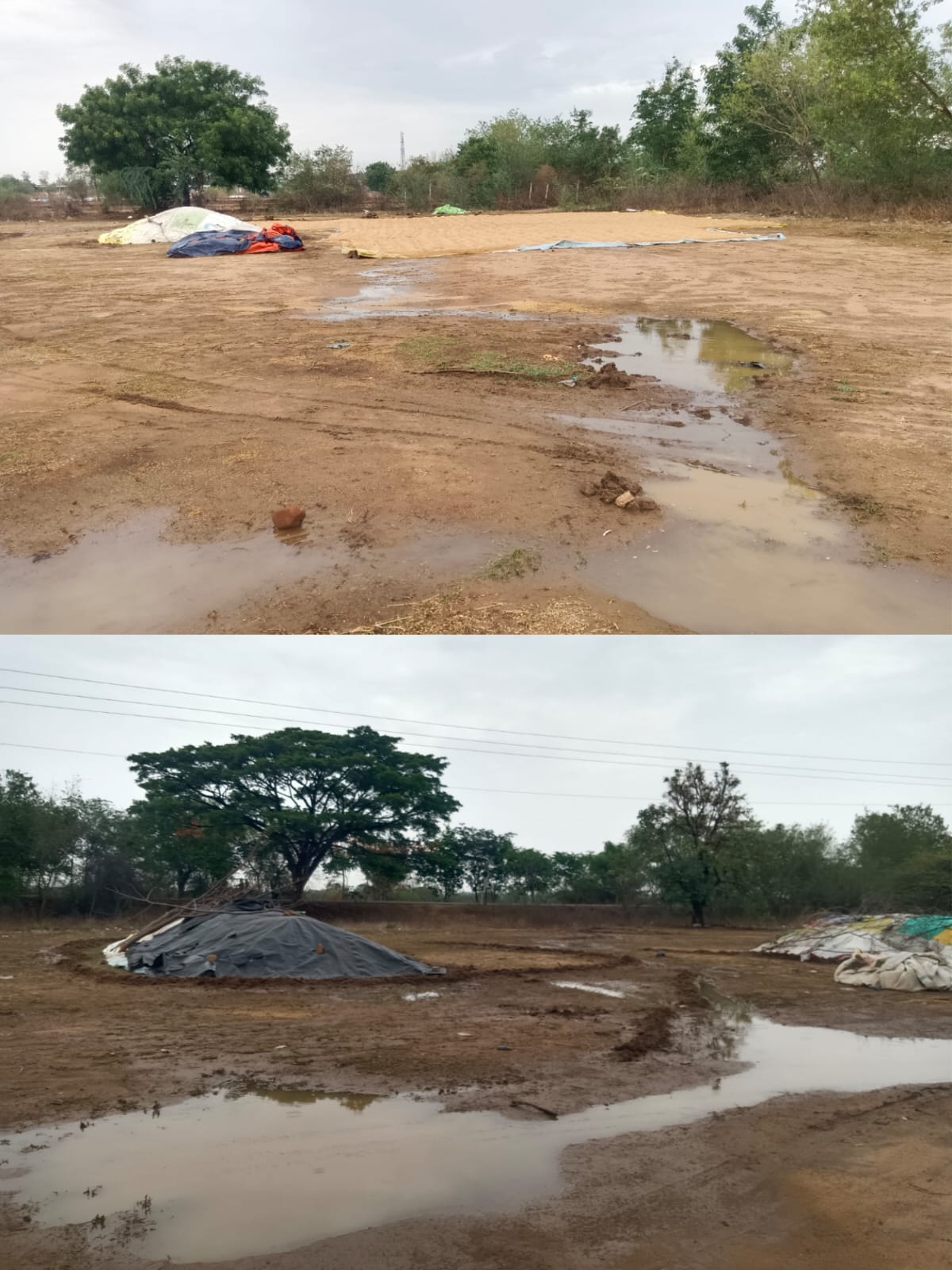అకాల వర్షం తడిసిన ధాన్యం అన్నదాతల ఆందోళన