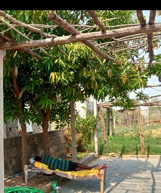 ప్రజలుఎంతోపర్యావరణoఅంతే ముఖ్యం -మండు టెండా చెట్టు క్రిందా