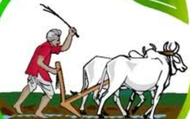 సొసైటీలో జిలుగు ఏరువులు అందుబాటులో ఉన్నవి..!