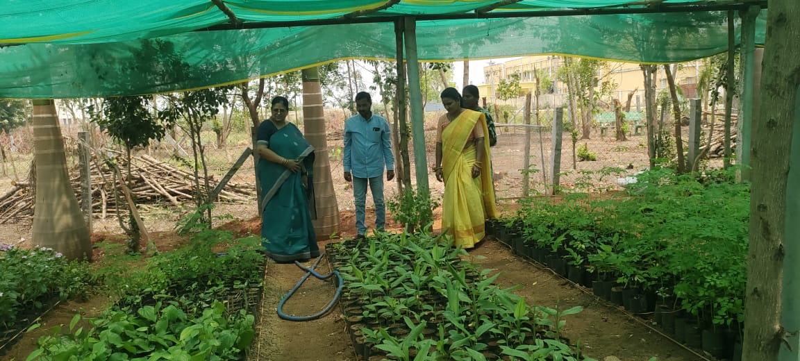వేసవిలో నర్సరీ మొక్కలను జాగ్రత్తగా పెంచాలి