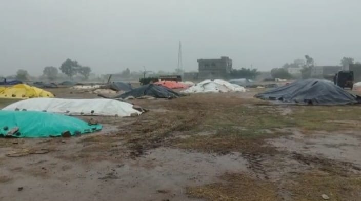 దొమ్మట గ్రామంలో అకాల వర్షంతో అన్నదాతల అయోమయం