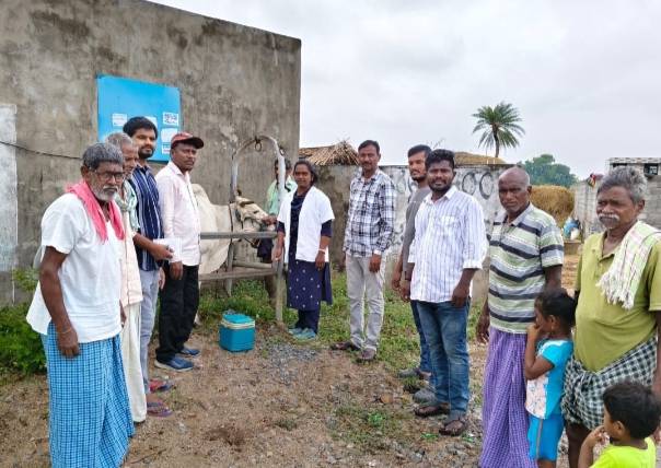 ఉచిత పశు వైద్య శిబిరం
