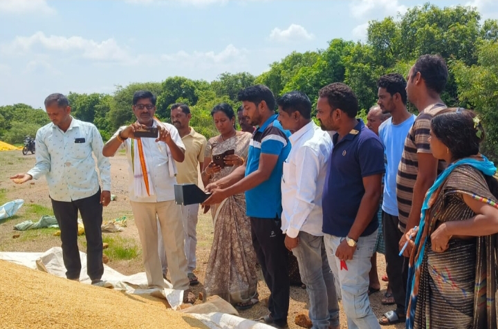ఐకేపీ కొనుగోలు కేంద్రంలో సన్నవడ్లను పరిశీలించిన
