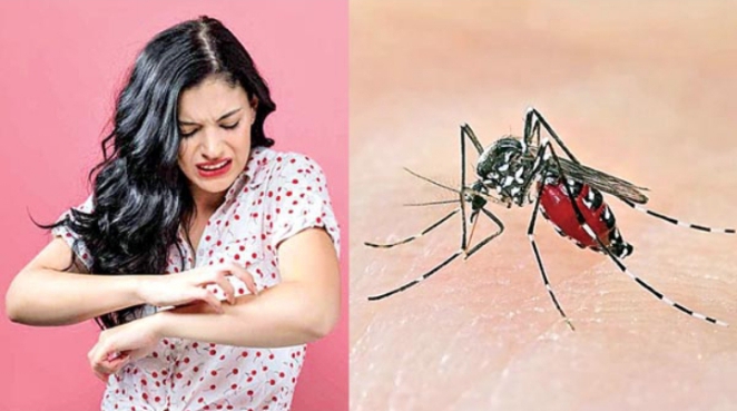 వాటర్ ట్యాంకులు, డ్రైనేజీ కాలవలు క్లీన్ చేయించాలి