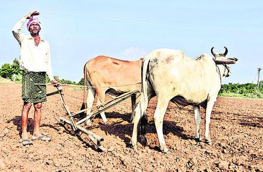 దుక్కులు సిద్ధం.. వాన కోసం రైతన్న ఎదురుచూపులు