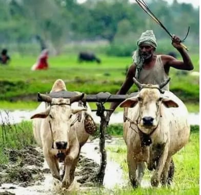 రైతన్నా ఏది నీ గౌరవం? ఏంటి ఈ ఘోరం?