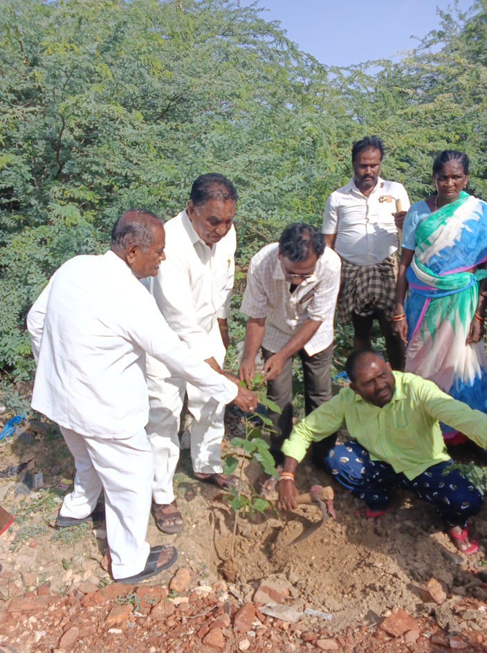 ప్రపంచ పర్యావరణ దినోత్సవం వన మహోత్సవం