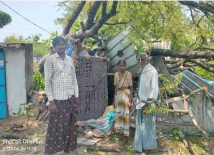 ఇంటి పై విరిగిపడ్డ చెట్టు