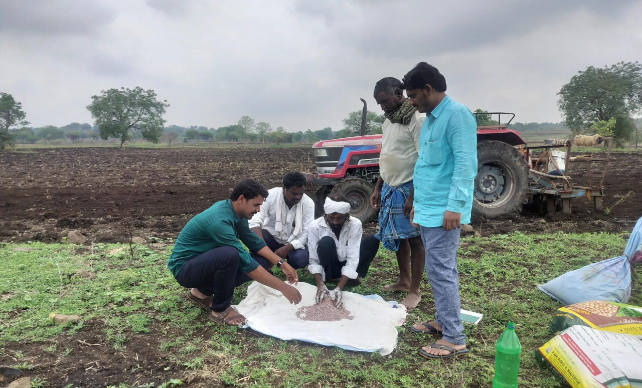 విత్తన శుద్ధి తో కంది పంటలో ఎండు తెగుల నివారణ
