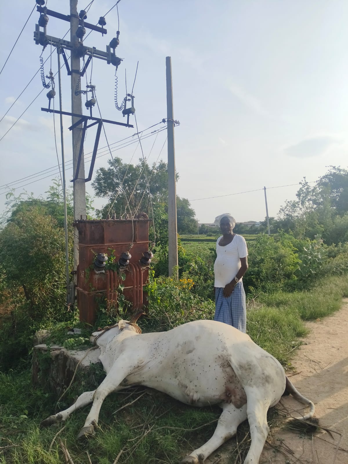 ముబారస్పూర్ గ్రామంలో విషాదం