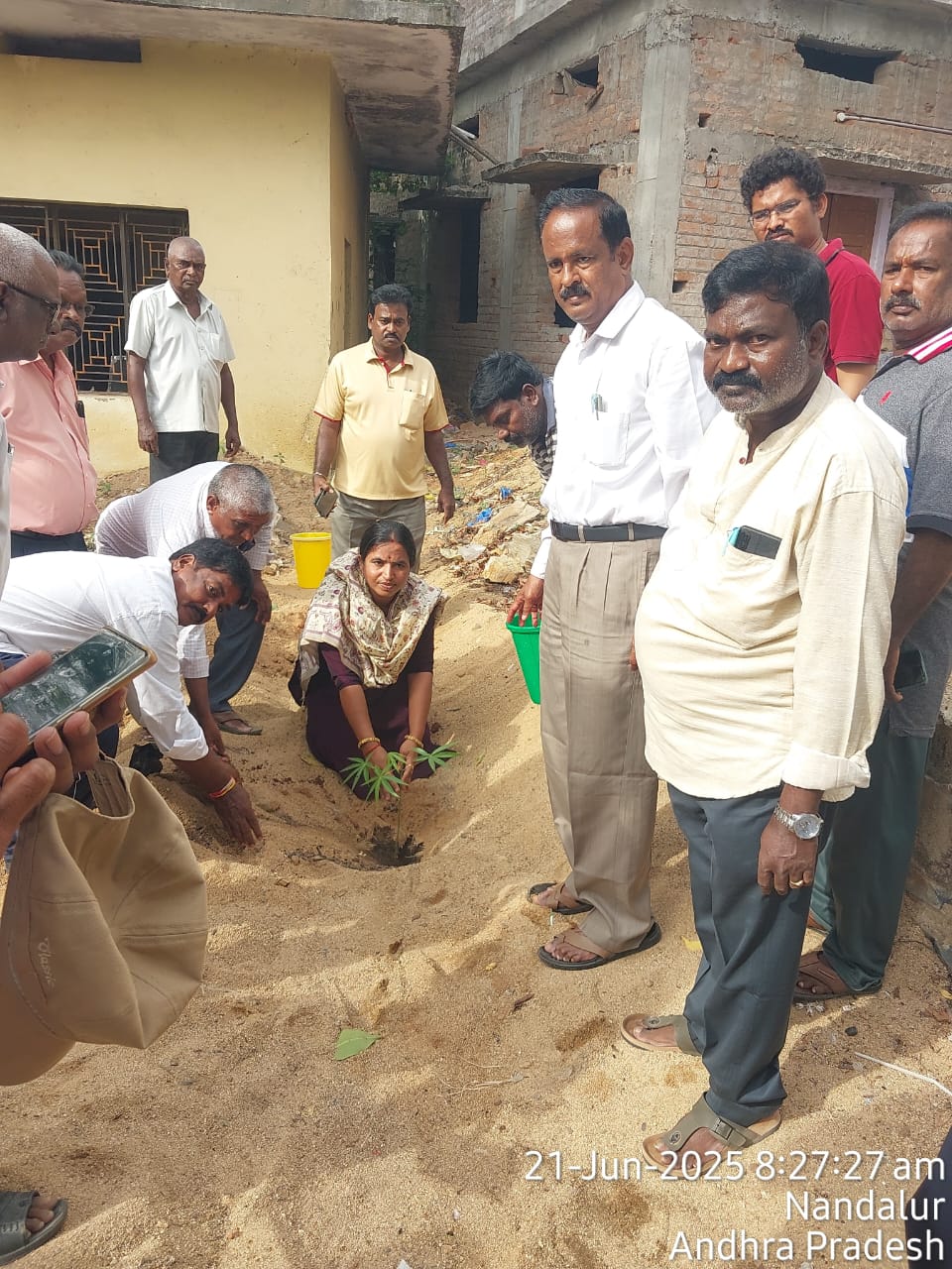 మొక్కల పెంపకం మానవ జీవన శైలిలో ఒక భాగం కావాలి.
