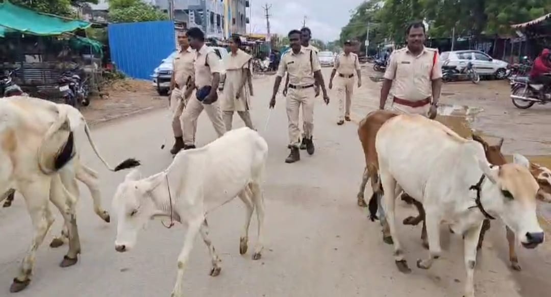 రోడ్లపై పశువుల నియంత్రణ:
