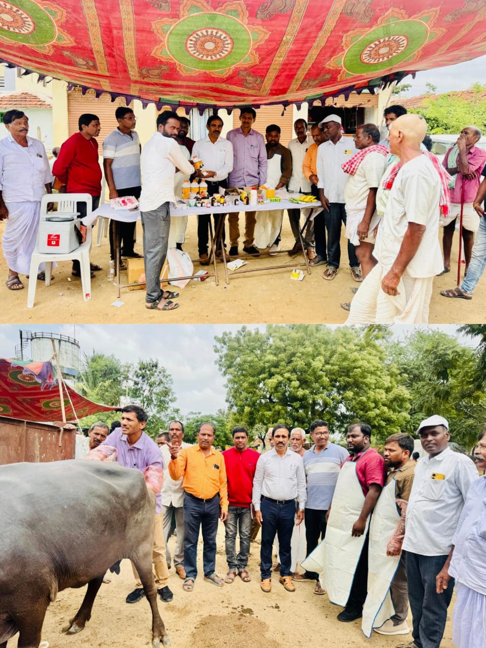 ఫైజాబాద్ గ్రామంలో పశు వైద్య శిబిరం