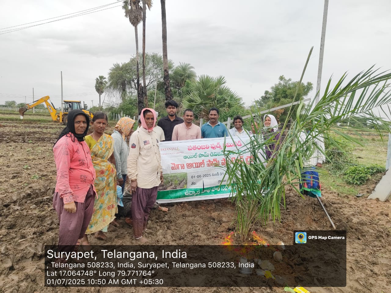 ఆయిల్ పామ్ తోటల సాగుతో అధిక ఆదాయం