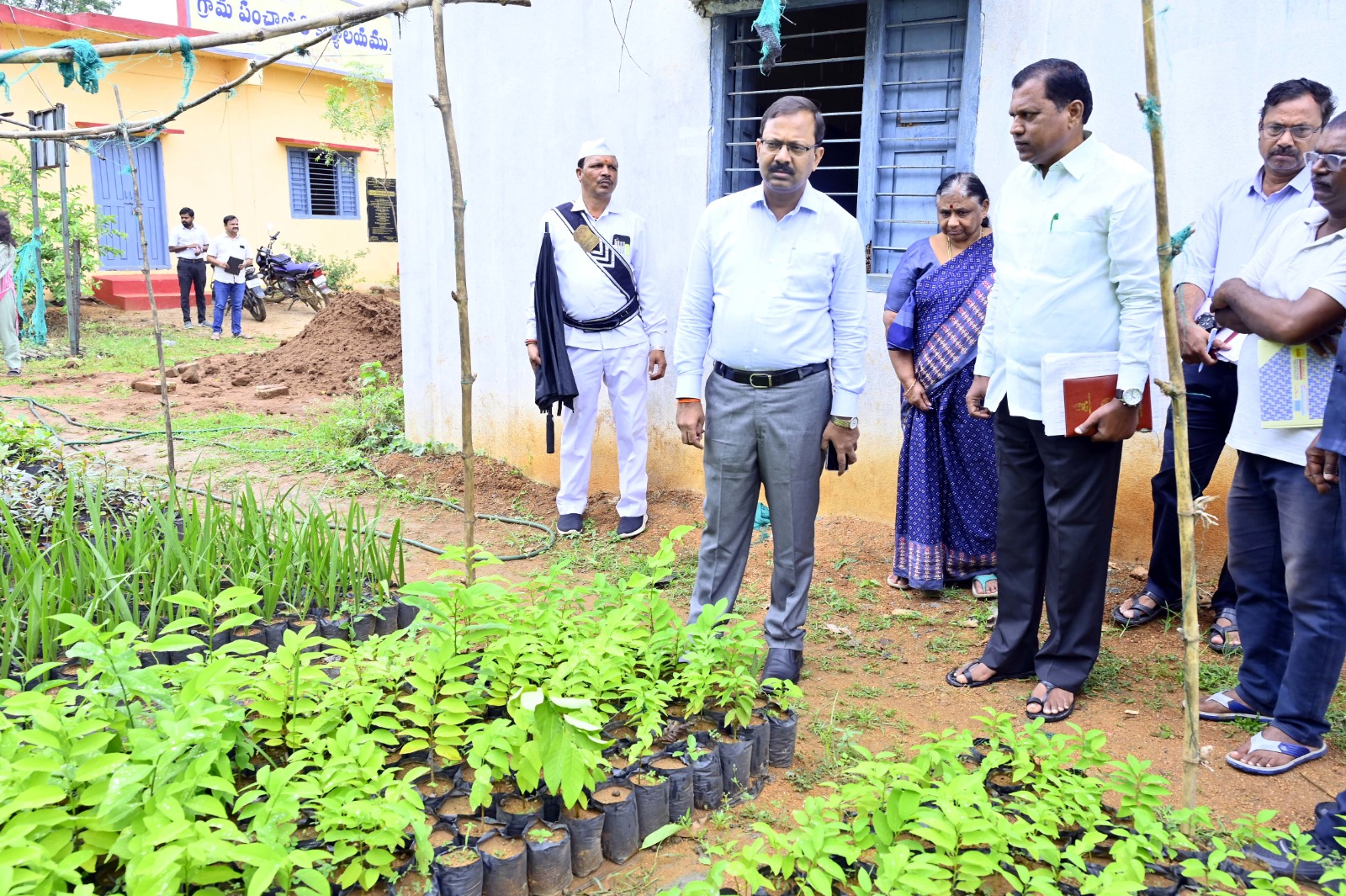 నర్సరీల నిర్వహణను మరింతగా మెరుగుపర్చాలి..!