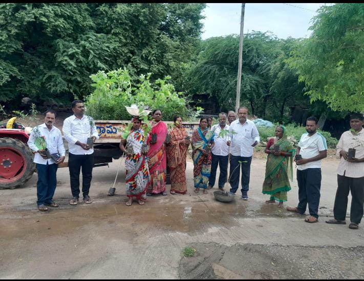 హరిత మహోత్సవంలో భాగంగా మొక్కలను ఇంటింటికీ పంచిన ఎంపీడీవో…