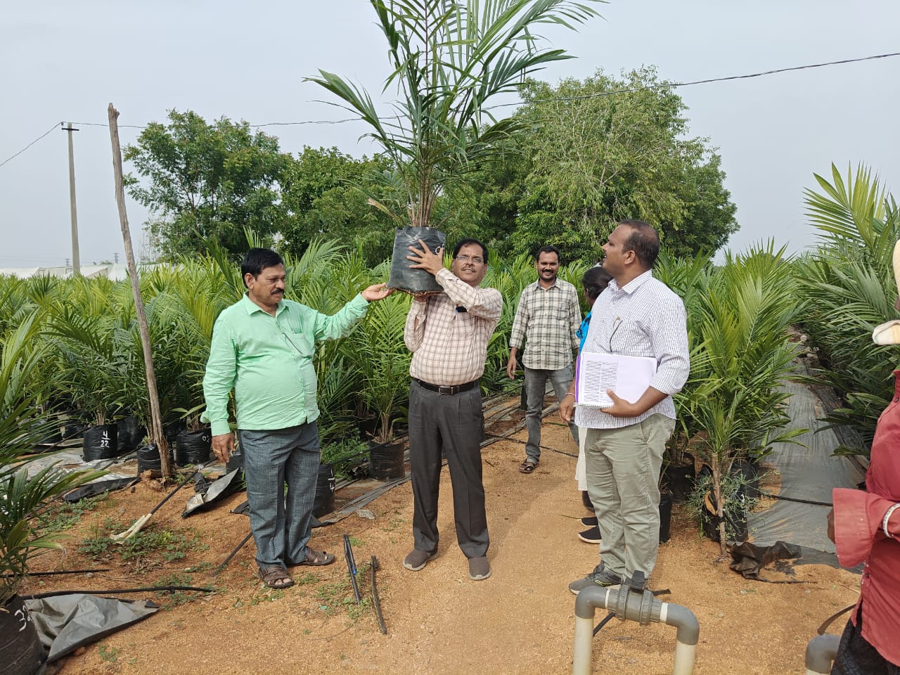 రైతులకు నాణ్యమైన ఆయిల్ పామ్ మొక్కలు అందించాలి
