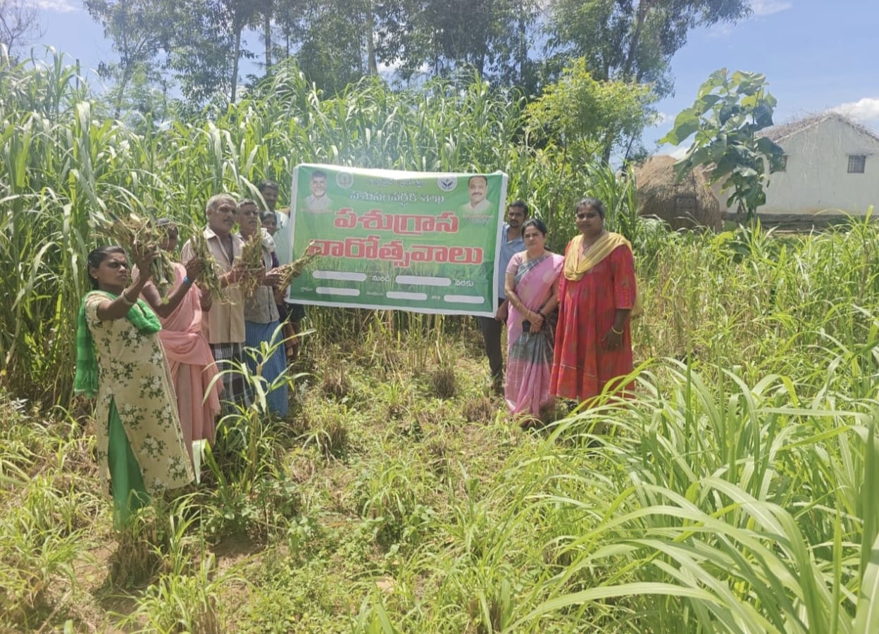 ఏఎస్ పేటలో పశుసంవర్ధక శాఖ ఆధ్వర్యంలో పశుగ్రాస వారోత్సవాలు
