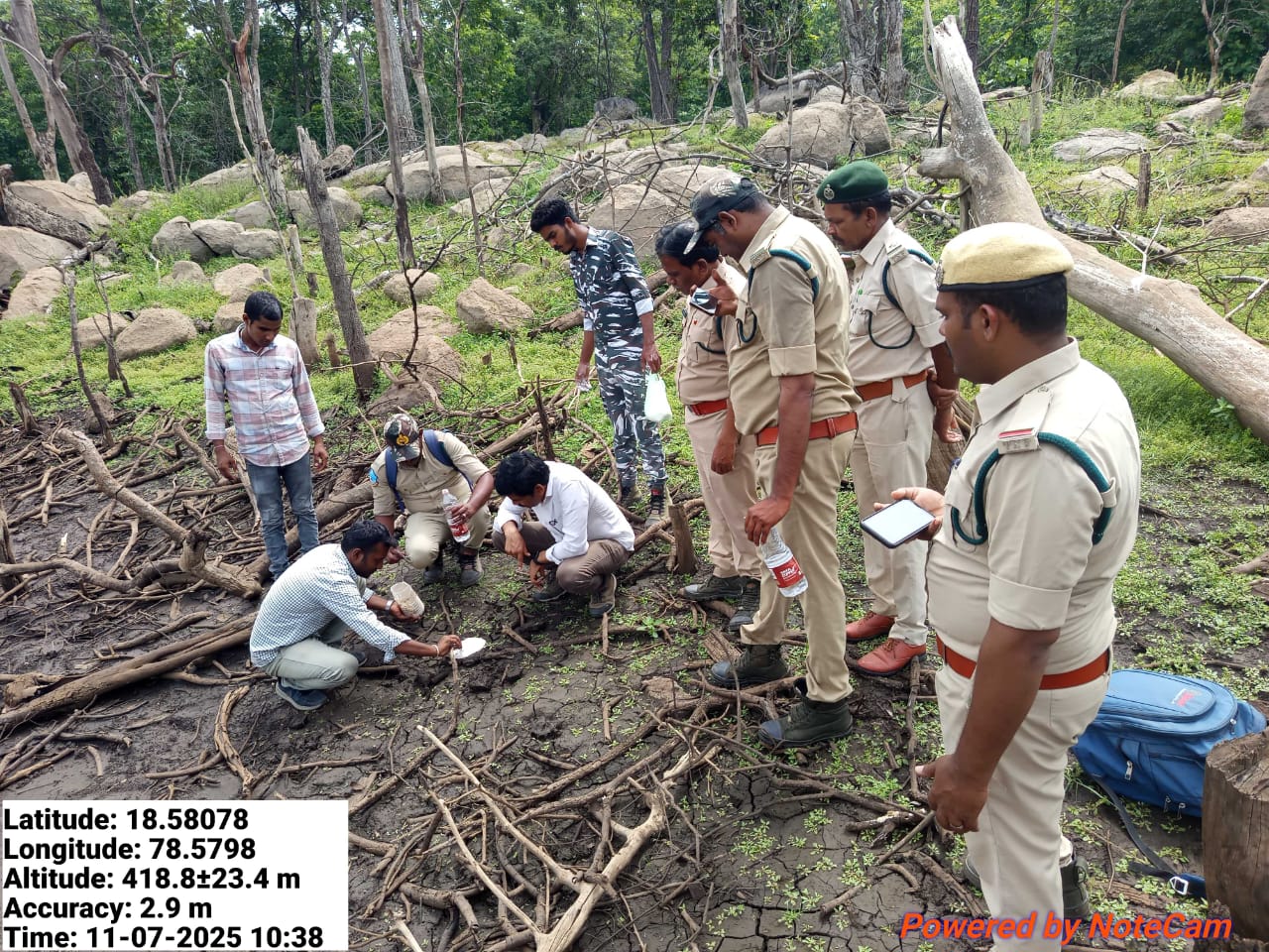 సిరికొండ ఫారెస్ట్ రేంజ్ లో పులి..!