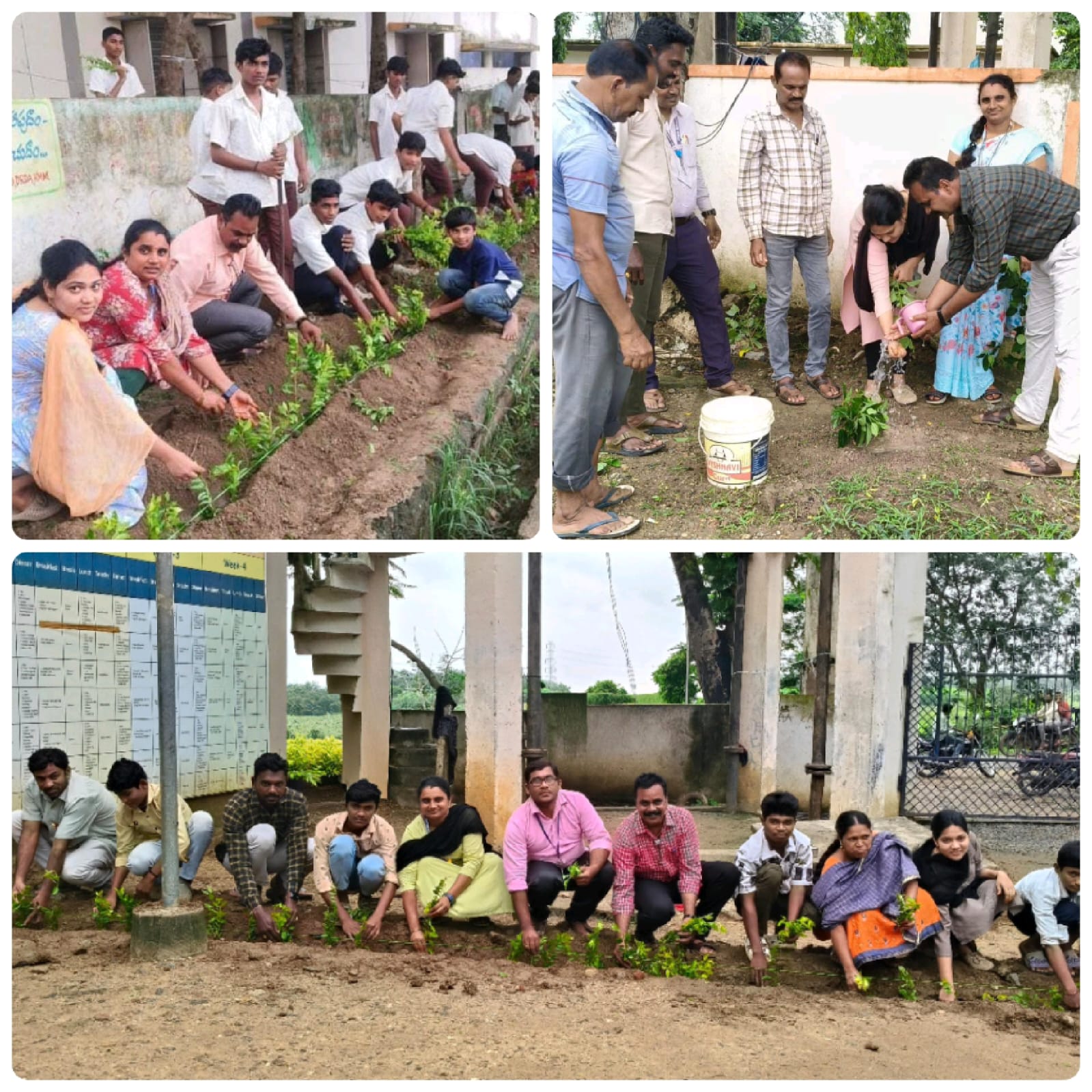 మూల పోచారం ఆశ్రమ పాఠశాలలో హరితహారం
