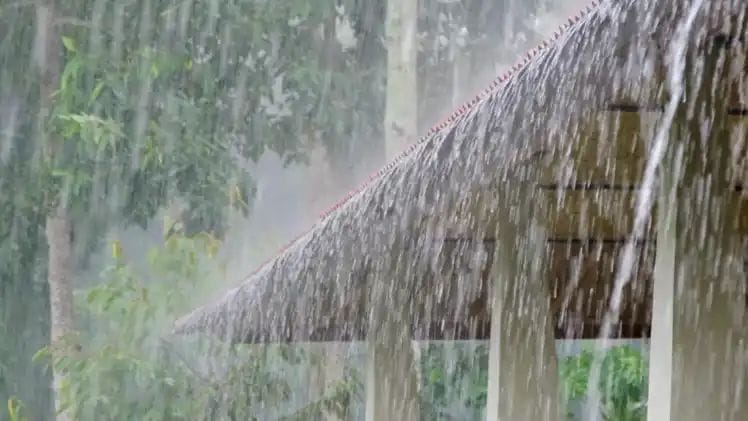రాగల నాలుగు రోజులు తెలంగాణలో భారీ వర్షాలు..ఐ యమ్ డి వార్నింగ్.!