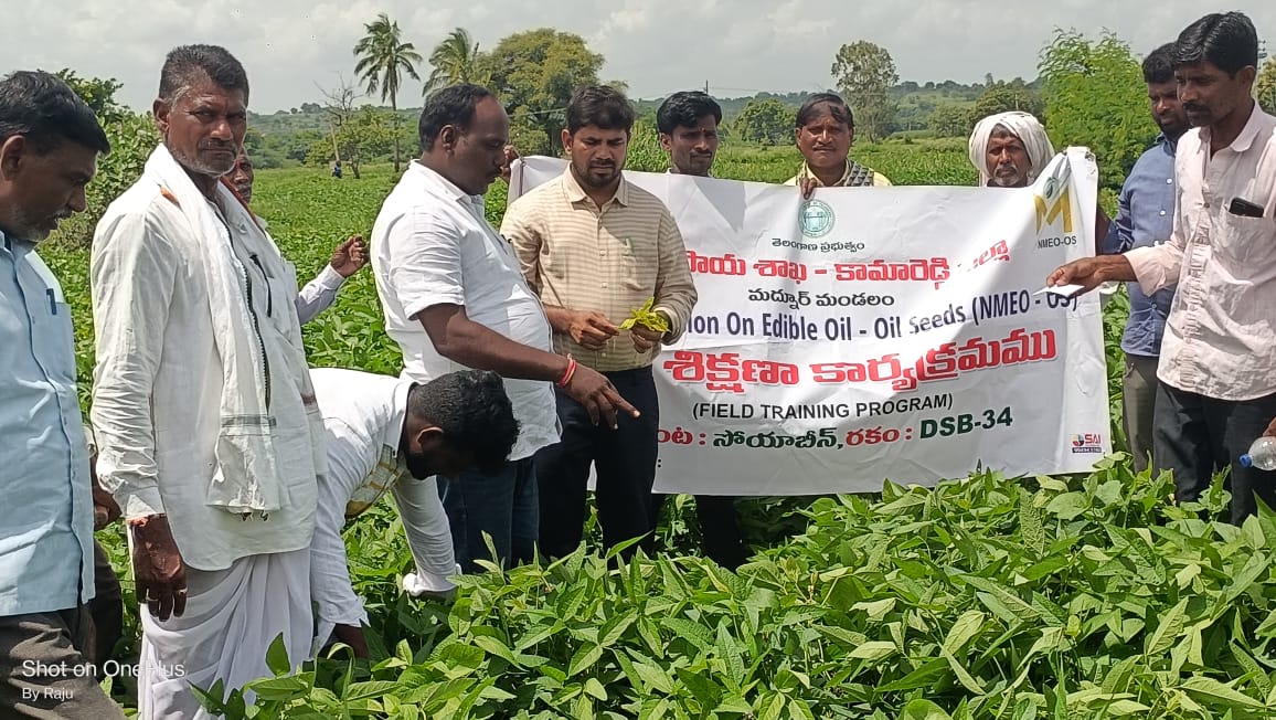 సోయాబీన్ పంటలపై క్షేత్ర శిక్షణ కార్యక్రమం