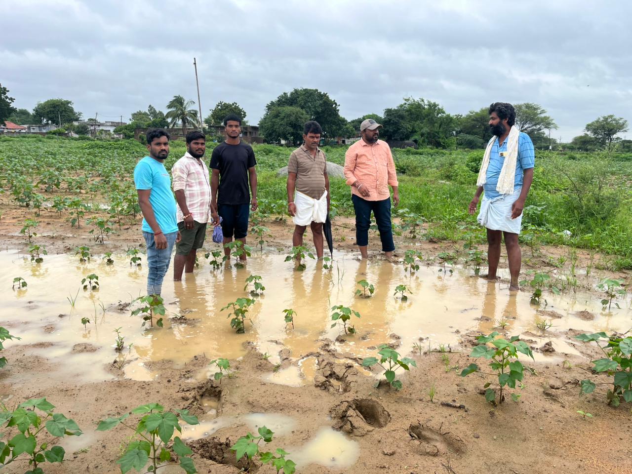 రైతులు పాటించాల్సిన వాతావరణ ఆధారిత వ్యవసాయ సూచనలు