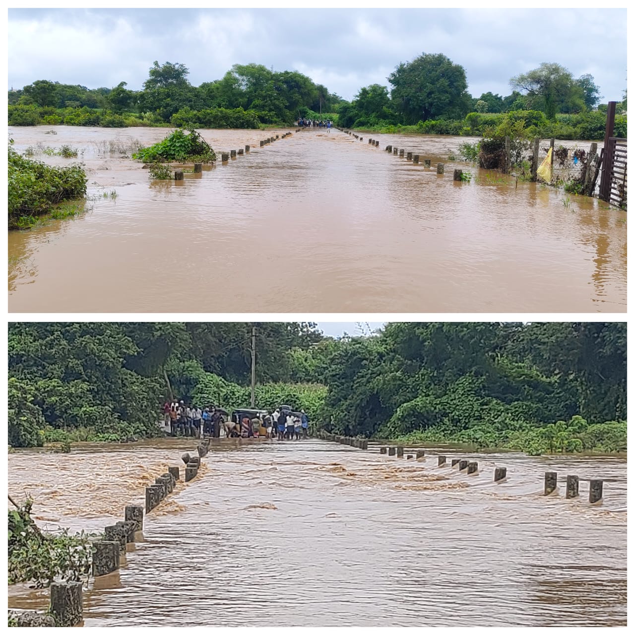ఉధృతంగా ప్రవహిస్తున్న మంచన్ పల్లి వాగు.