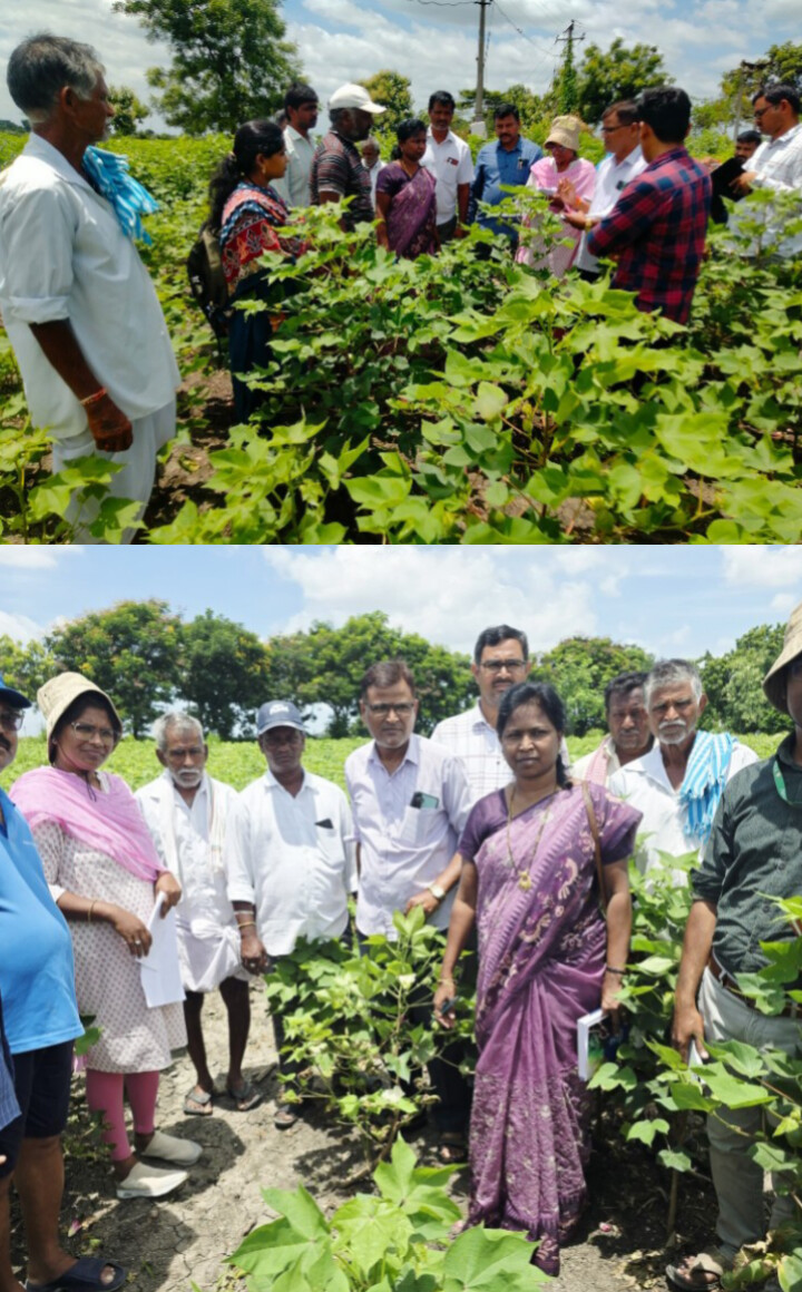 రైతులకు తగిన సూచనలు తెలిన వ్యవసాయ అధికారులు
