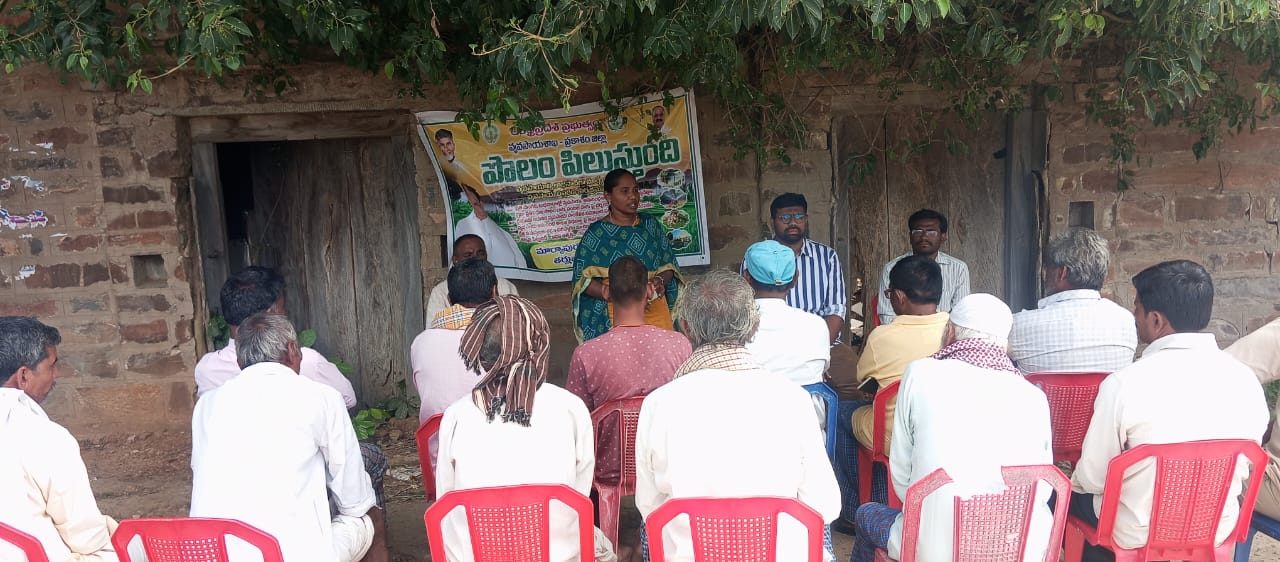 తుమ్మలచెరువు, జగన్నాధపురం గ్రామాలలో పొలం పిలుస్తోంది ఏవో జ్యోష్న దేవి