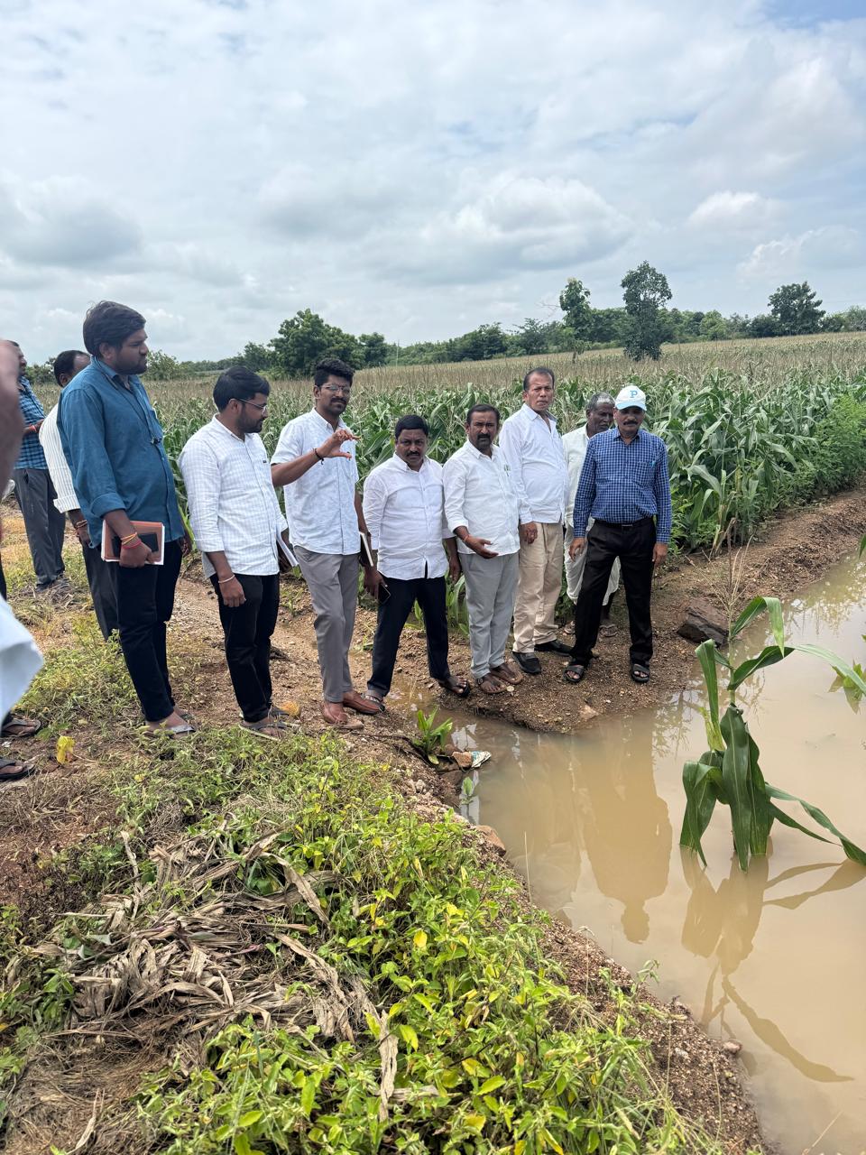 వరదలవల్ల ముంపుకు గురైన పసుపు పంటలను పరిశీలించిన-జిల్లా ఉద్యానా ధికారి