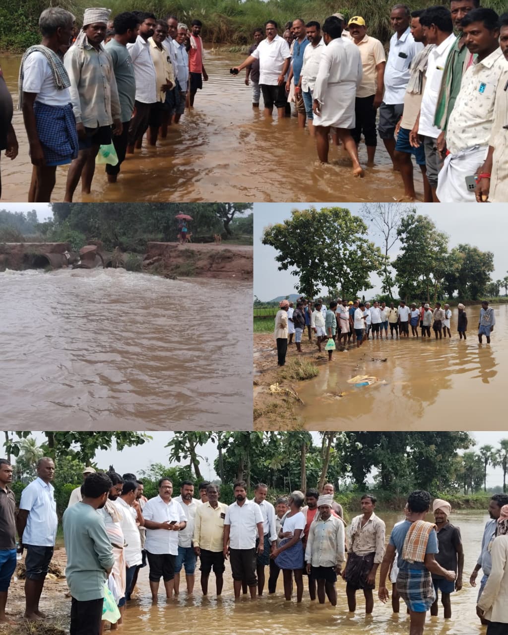 వర్షాల వల్ల ముంపునకు గురైన పంట నష్టపోకుండా పరిష్కారం చూపిస్తాం-టిడిపి మండల అధ్యక్షులు చలుమూరి వెంకట్రావు