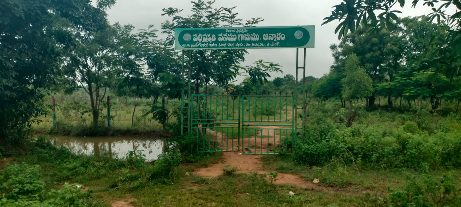 ఫారెస్ట్ భూములపై అక్రమాల పర్వం – అన్నారం శివారులో నిర్లక్ష్యపు అధికారులు
