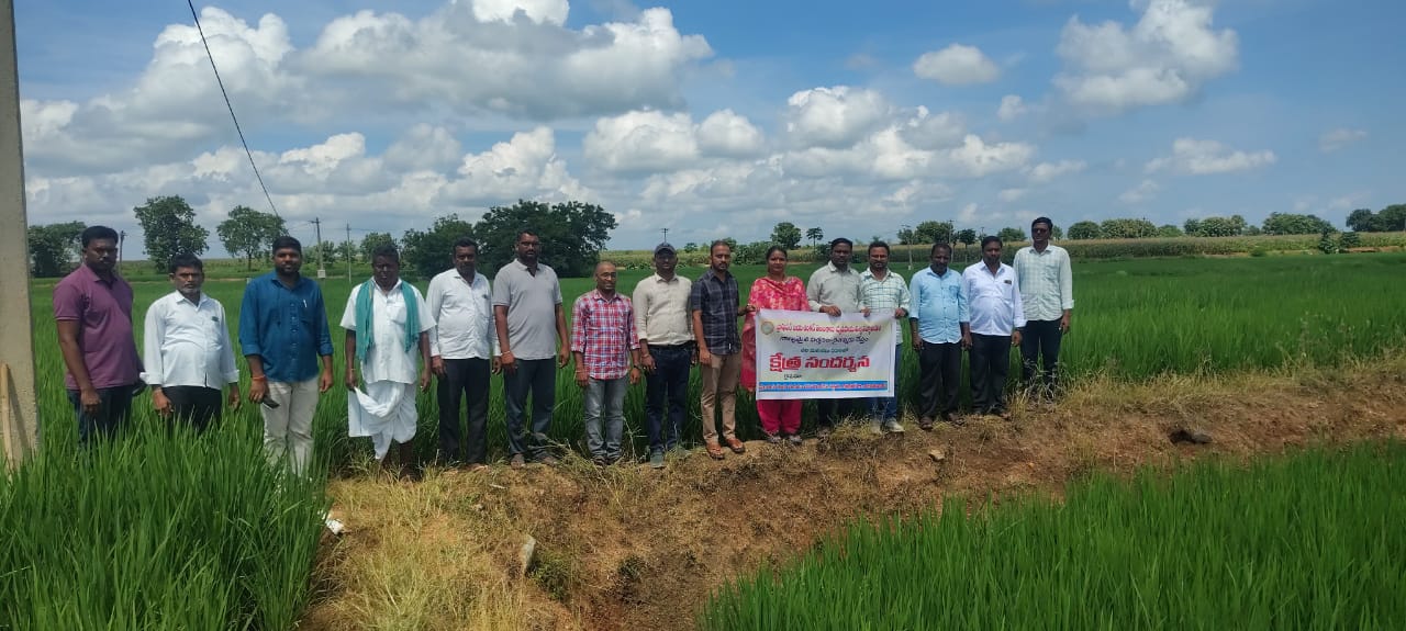 దోంచందలో RDR-1200 వరి క్షేత్రాన్ని పరిశీలించిన– రుద్రూర్ శాస్త్రవేత్తల బృందం