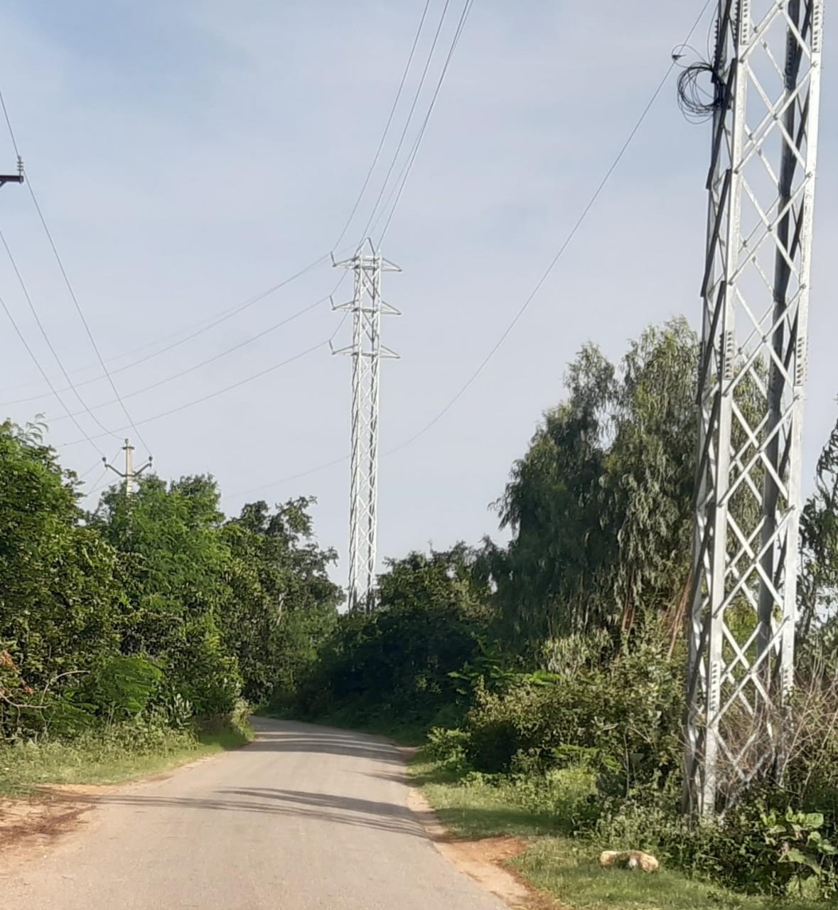 రంగారెడ్డి జిల్లా యాచారం మండలం లోని మేడిపల్లి నక్కర్త వెళ్లేదారిలో రోడ్డుకు ఇరువైపులా చెట్లు ఉండడంతో రాకపోకలకు ఇబ్బంది పడుతున్న ప్రజలు