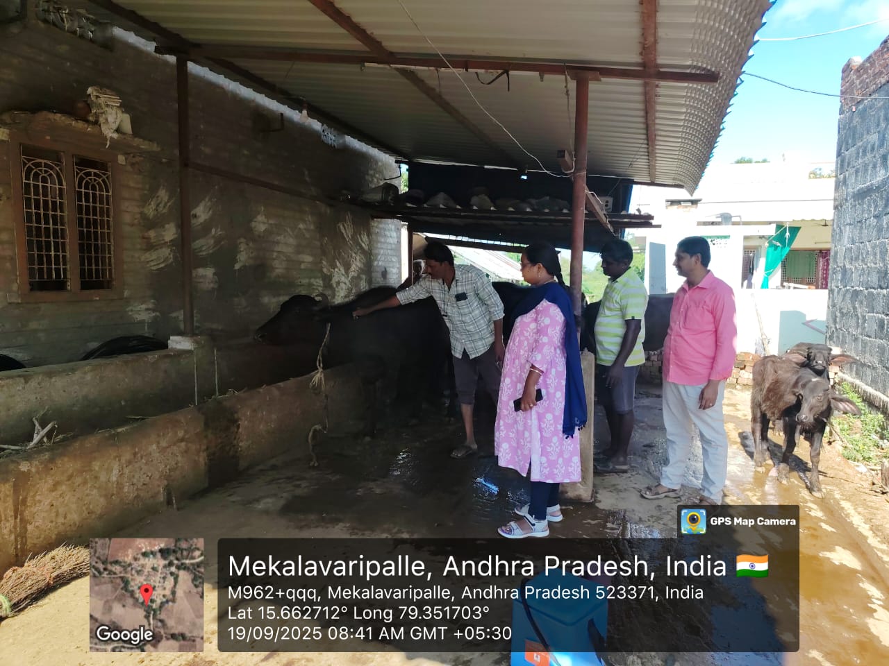 గాలికుంటు టీకాల ప్రాముఖ్యత పై అవగాహన కార్యక్రమం