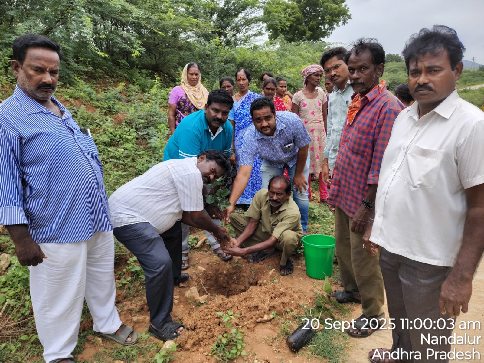 మొక్కలు నాటండి పర్యావరణాన్ని కాపాడండి