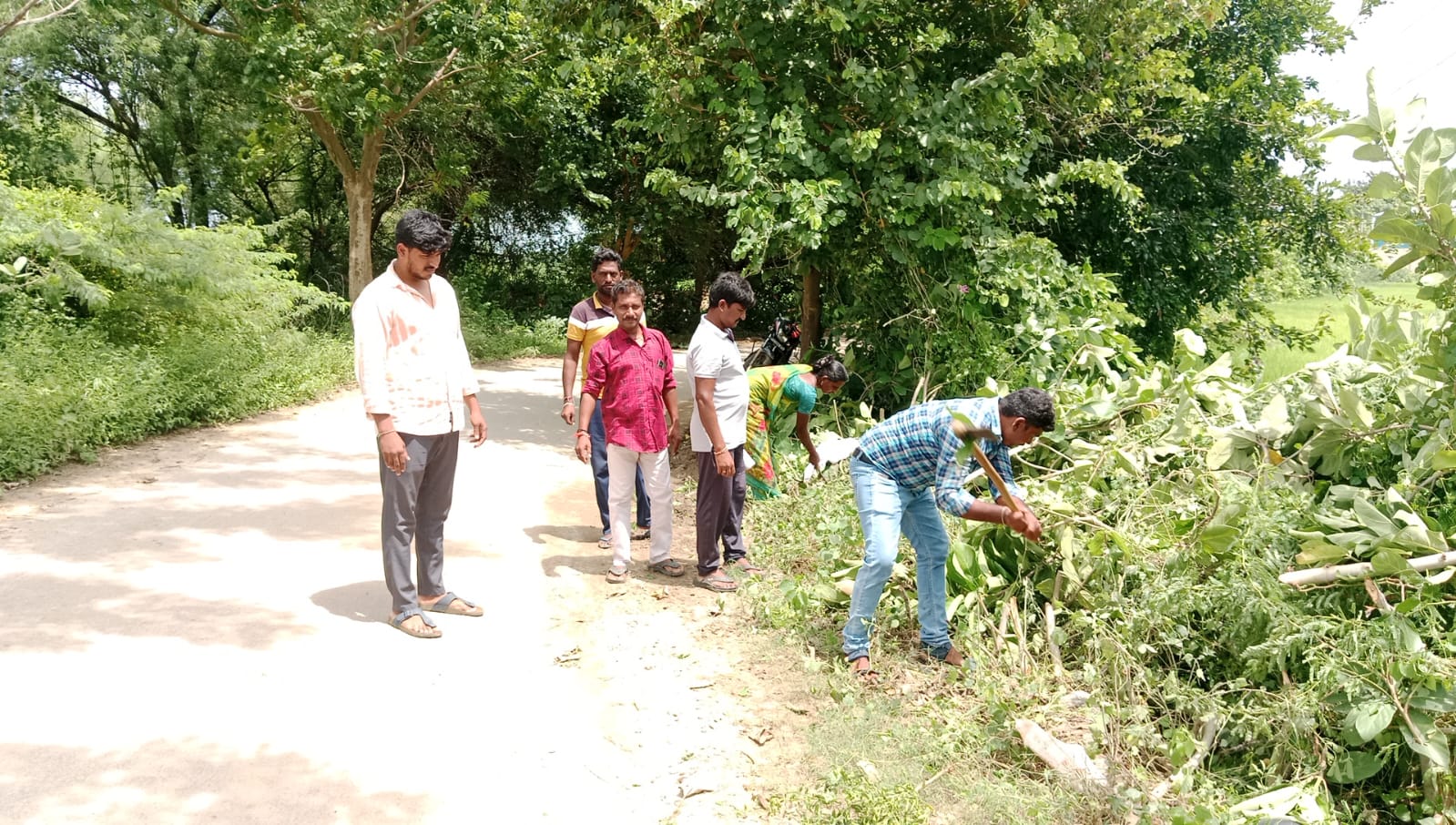 మూల మలుపు వద్ద దట్టంగా పెరిగిన చెట్లను తొలిగించిన జీపీ సిబ్బంది